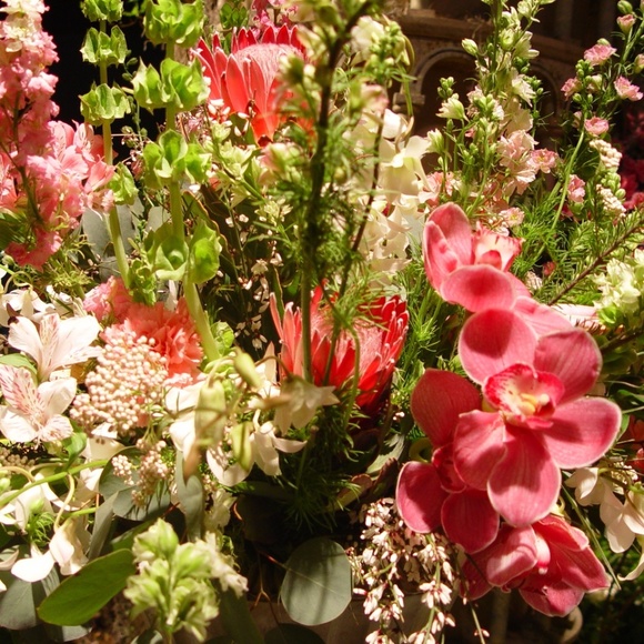 Meet your Posher, Rose - Picture 1 of 1